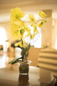 在豪华的五星级酒店婚礼派对上美丽的花朵图片