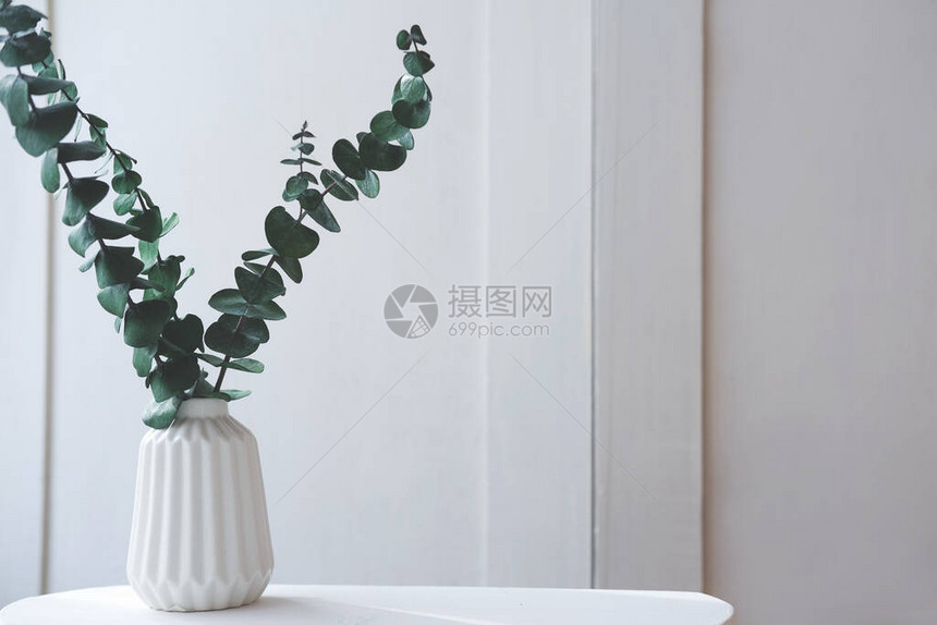 桉树叶放在桌子上的白色花瓶里清新简约的风格理念干净整洁的房间斯堪图片