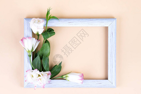 空白边框和花朵在有复制空间的蜜月纸背景图片