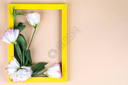 空黄色框架和花朵在有复制空间的蜜月纸背景上的枯叶图片