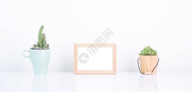 将白板架上的仙人掌和苏养植物与白色墙壁对着白图片