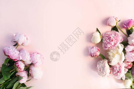 粉红色和白色牡丹花的环图片