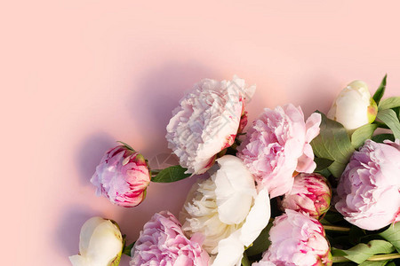 粉红色和白色牡丹花的框架花环图片