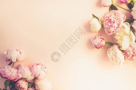 粉红色和白色牡丹花的框架花环图片