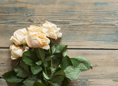 木制桌子上方的玫瑰花束顶部视图图片