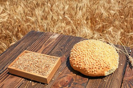 田里小麦谷物和木图片