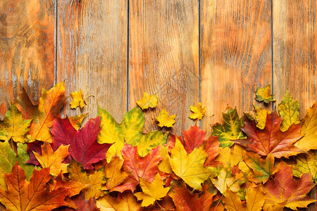 平整的平面组成秋叶以木制背图片