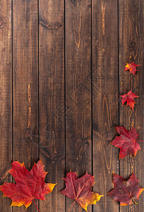 秋季作文六片红枫叶从小到大作为深木棕色背景上的框架的概念平躺顶视图片