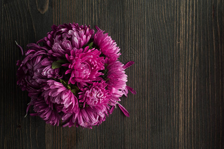 深色木桌上的紫菊花背景图片