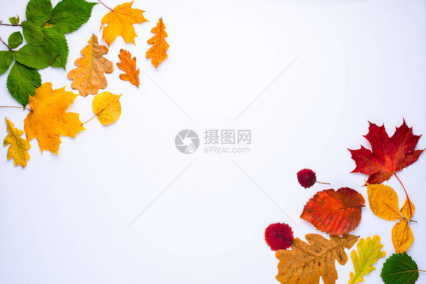 浅绿色黄红落叶的秋幕背景中间有文字空间图片