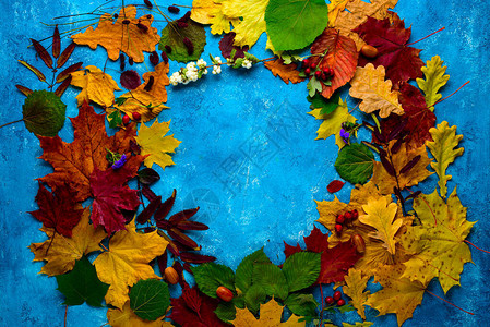秋季作文绿松石背景上一圈落下的绿色黄色橙色和红色叶子的花环秋天图片