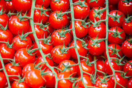 市场摊位的西红柿图片