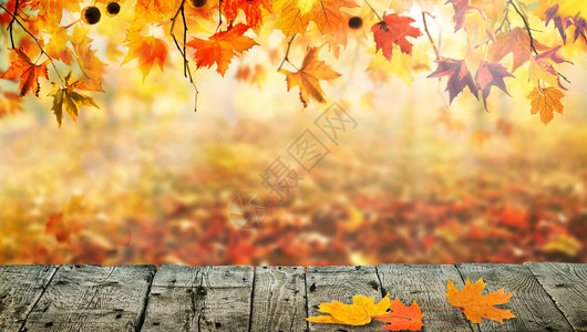 木桌有橙色叶子秋天背景图片