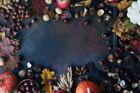 秋天背景深石桌上有装饰南瓜橡子苹果图片