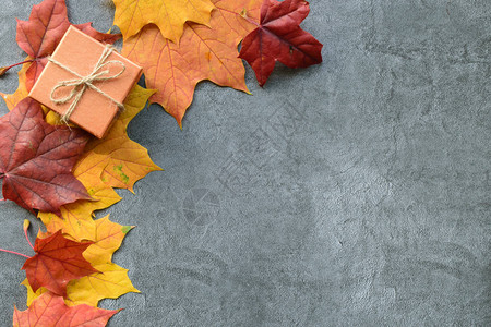 秋季作文红色和橙色枫叶的边框与灰色背景的礼品盒感恩平躺图片