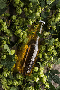 绿色啤酒花瓶中啤酒的顶视图图片
