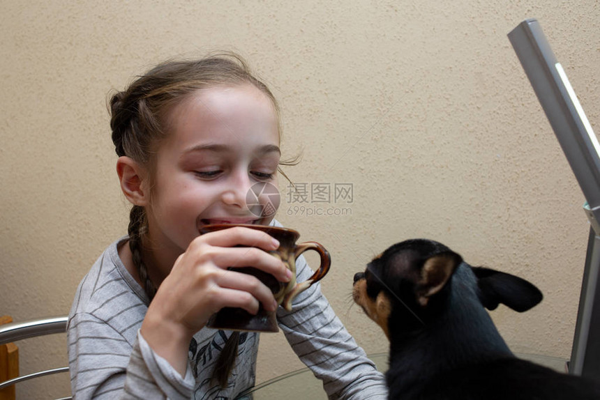 漂亮微笑的女孩她的吉娃狗在附近摆姿势女孩和吉娃在桌子上9岁的女孩和她的宠物在厨房里这只狗正坐在一张玻璃桌子上图片