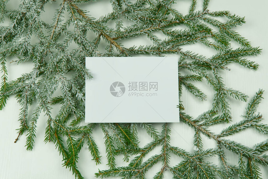 白卡印在有锥形圆锥的Fir树枝和白色木质背景的圣诞图片