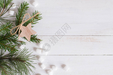 圣诞树枝星白木本图片