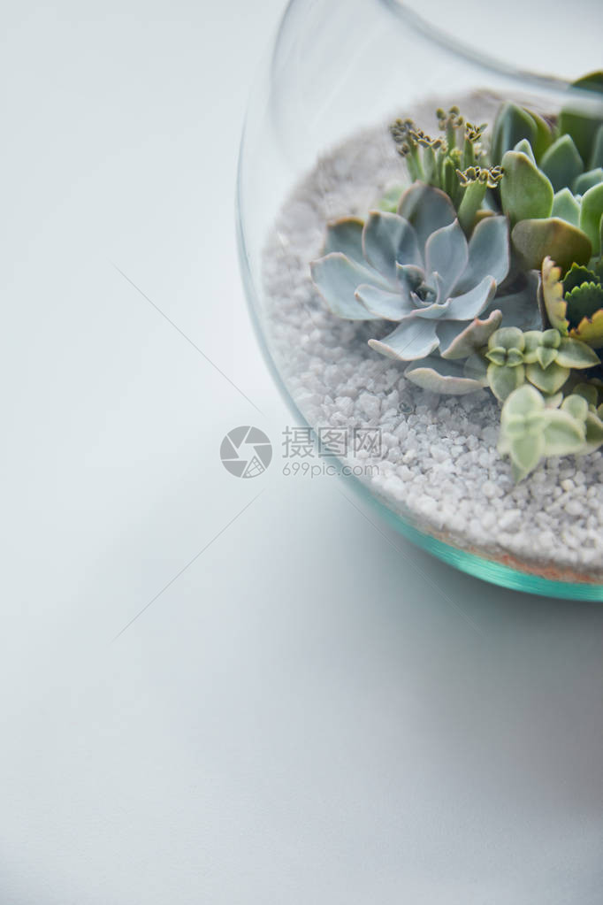 以透明的花盆在白色背景和复制空间的白色背景上图片