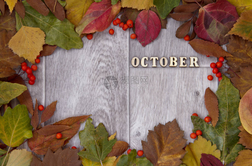 含多色秋叶安排的木背景秋季背景登记图片