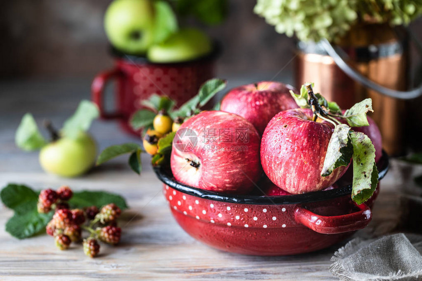 红铁碗里的红绿苹果图片