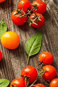 新鲜的成熟园艺番茄和木图片