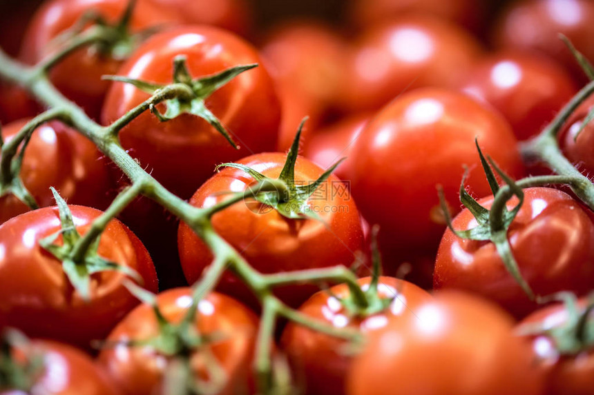 美味的红番茄盛满有机蔬菜的夏季托盘市场农业图片