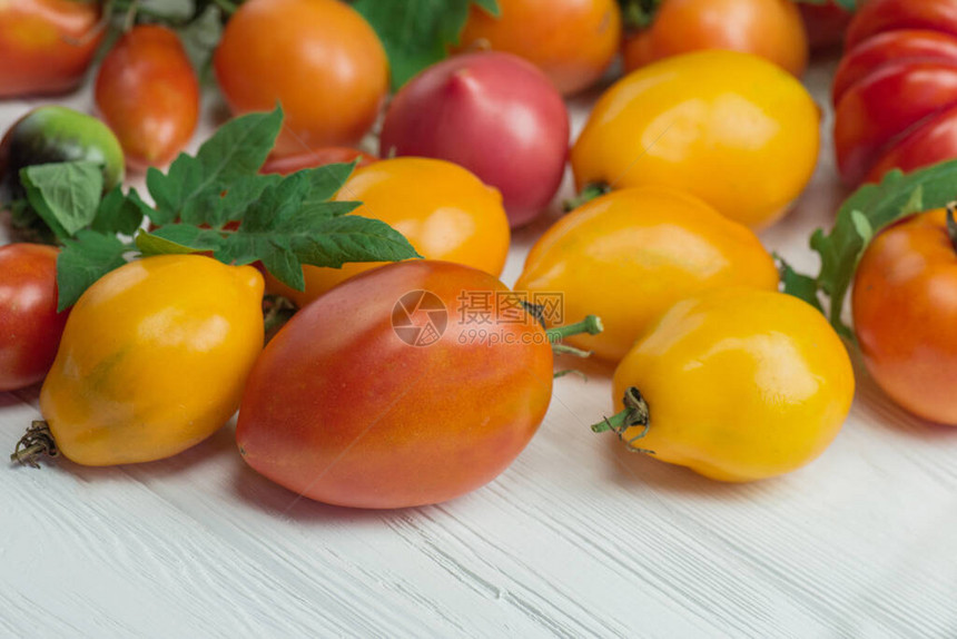 刚采摘的新鲜西红柿图片