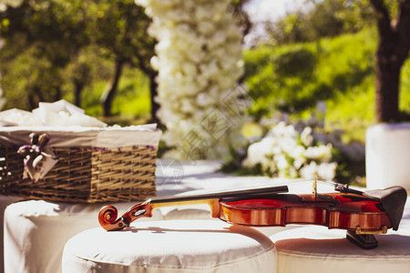 婚礼拱门背景上美丽的小提琴花面背景上的背景图片