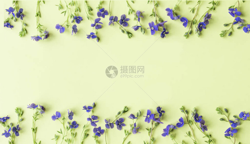 花对称排列由浅绿色背景上的小野蓝色花朵制成的图案平躺顶视图图片