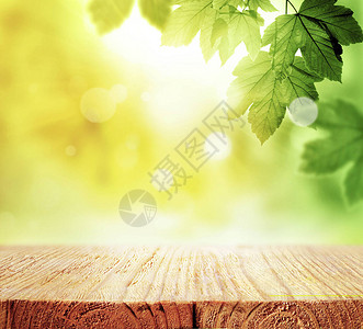 绿叶和木桌夏季或春季的背景背景天然绿色植图片
