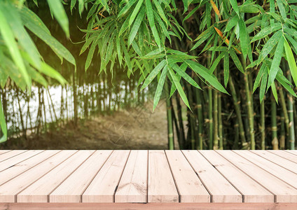 天然竹林背景的木板桌图片