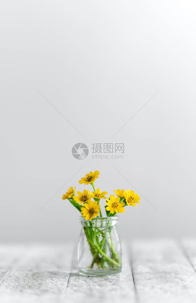 咖啡杯中的花朵白色背景图片