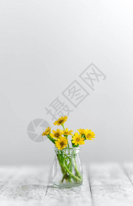 咖啡杯中的花朵白色背景图片