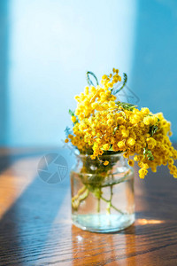 木桌上的一束黄色含羞草花图片