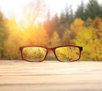 秋季公园木凳上的时尚眼镜图片