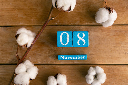 11月8日蓝色的立方体日历月和日期图片