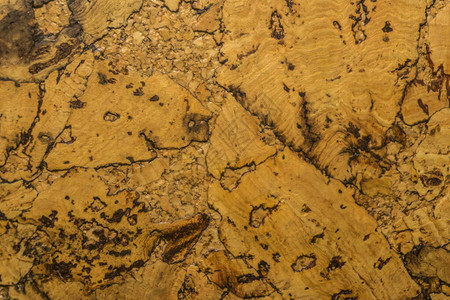 Cork板木表面的近距图片