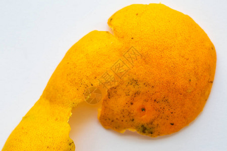 白色背景的橙子水果皮接近和宏观镜头图片