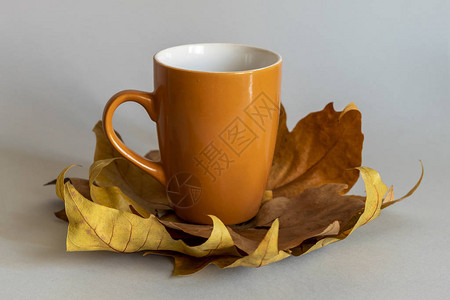 用干燥的淡黄色秋叶制成的花内棕色咖啡杯背景图片
