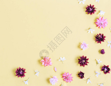 黄色太阳背景下的节日野生春夏花卉组成图片