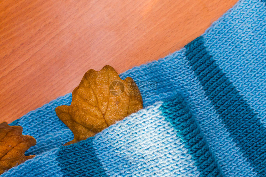 带秋橡树叶的围巾织图片