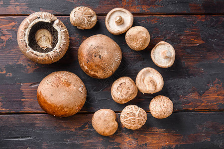 在旧木制桌板上摆放的芝麻蘑菇和波托贝罗蘑菇图片