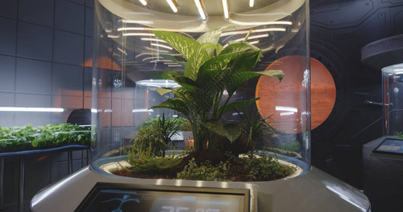 火星基地实验室中植物孵图片