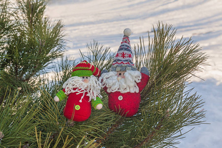 在雪底的松树枝上两个快乐的玩具小矮人大规模生产的品图片
