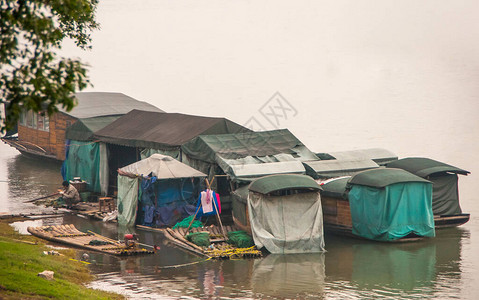 移民工人的住所小屋和帐篷等建在雾中绿岸附近的绿色李图片