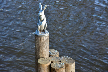 在圣彼得堡的兔子岛附图片