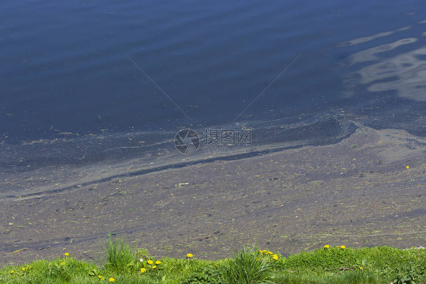 水污染环境问题在池塘湖岸附近大油的泥土漂浮图片