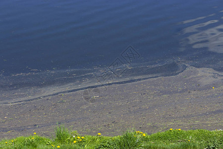 固废处理水污染环境问题在池塘湖岸附近大油的泥土漂浮背景